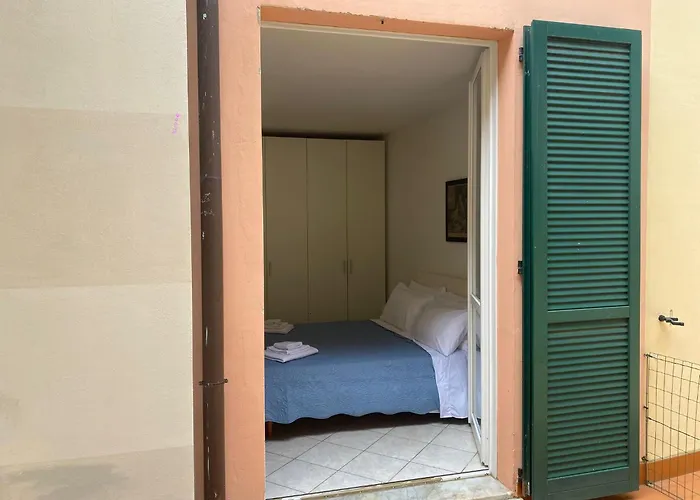 Oasi Verde 2